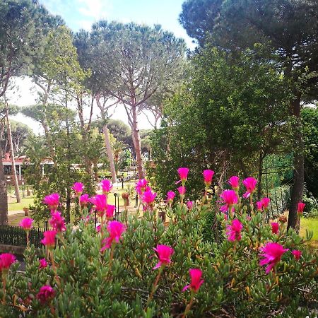 Casa Margherita Affittacamere B&B Follonica Buitenkant foto