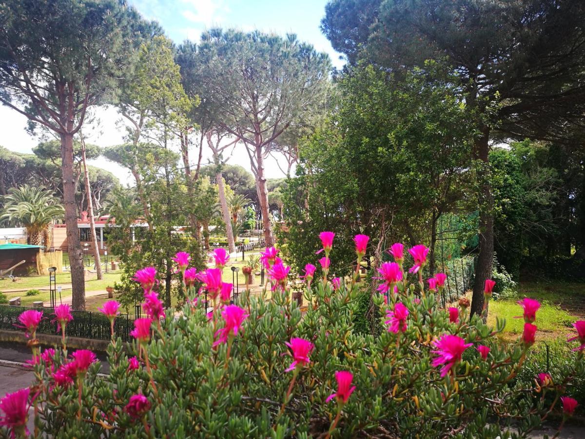 Casa Margherita Affittacamere B&B Follonica Buitenkant foto